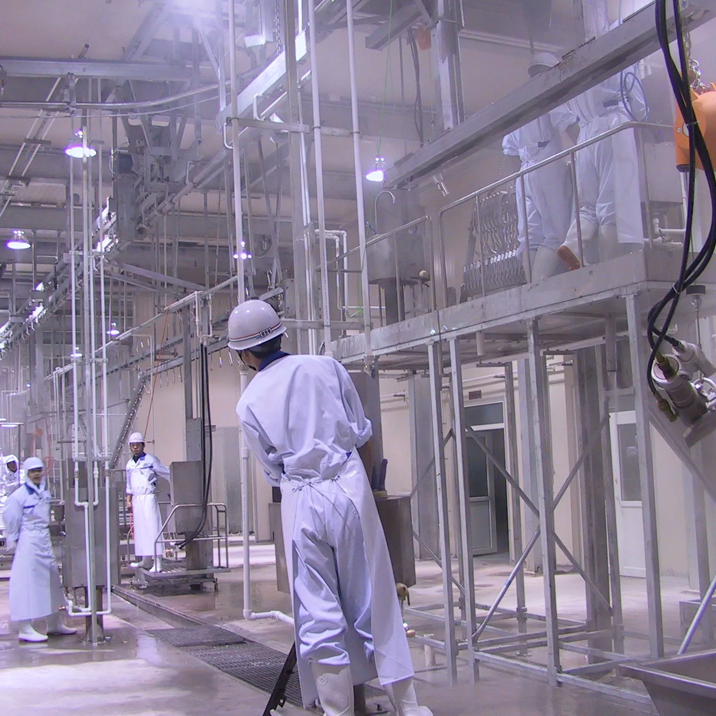 ハラール牛の食肉処理場用の牛肉食肉処理場を備えた食肉処理装置完成生産ライン