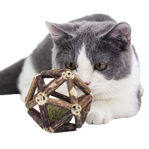 Exquisito palo Silvervine con hierba gatera o campana de lujo de gato de madera corto juguete de bola de menta al por mayor para mascotas embaladas en bolsa - Product Image 1