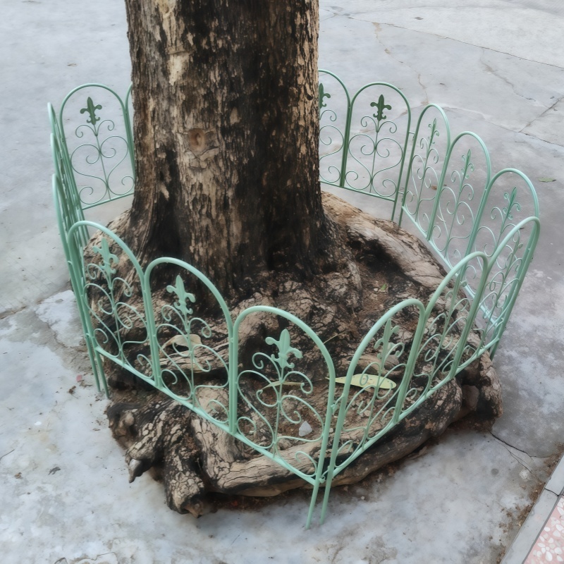 Fagiolo verde