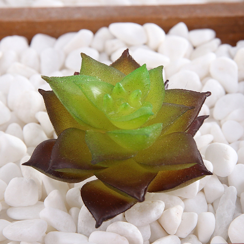 petite fleur à cornes verte