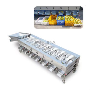Clasificación automática de frutas y cerezas, clasificación automática de frutas y verduras, Oliva, manzana, naranja, cebolla, tomate, aguacate, máquina clasificadora de patatas - Product Image 4