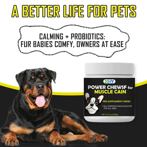 مكملات غذائية لزيادة وزن الكلاب بعلامة تجارية خاصة، تدعم صحة الحيوانات الأليفة، أقراص طرية مع مزيج من الفطر - Product Image 5