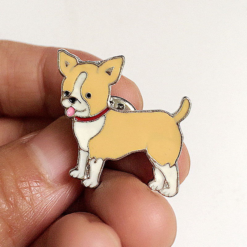 Chihuahua jaune