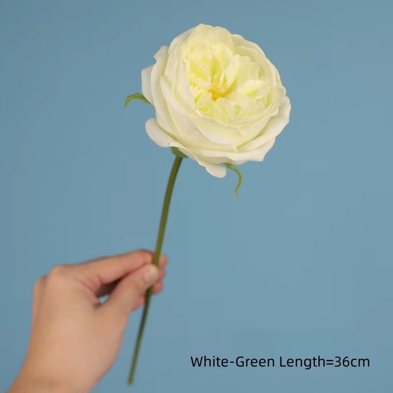 Blanc Vert