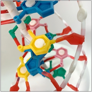 Modelo de enseñanza de laboratorio ADN biológico estructura de doble hélice modelo de estructura molecular de ADN de trompeta para enseñanza en el aula - Product Image 2