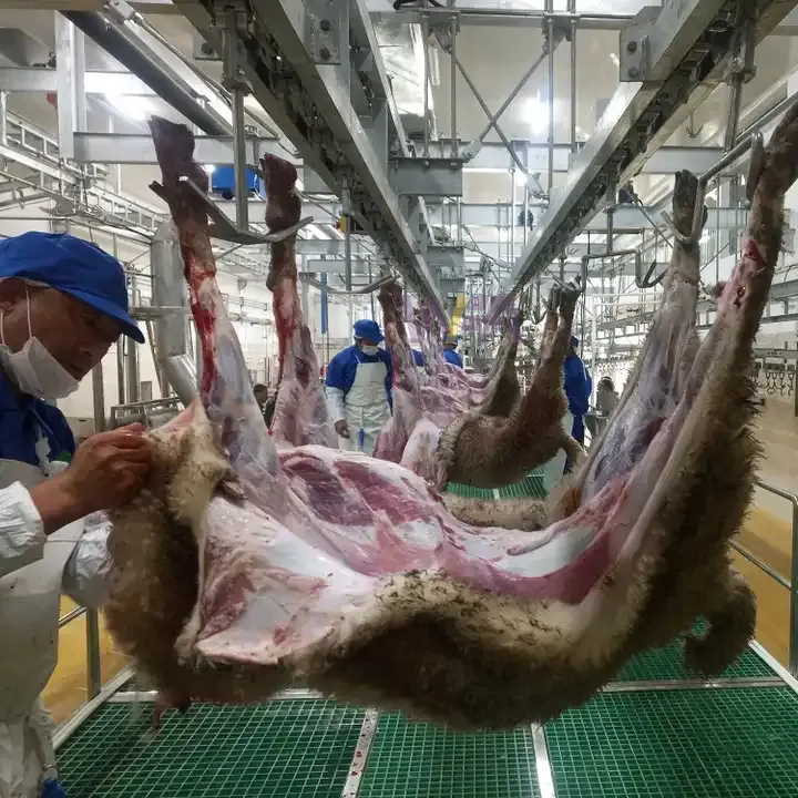 Precio de fábrica matadero de cordero ganado equipo de matadero de ovejas para máquina de matadero de cabra