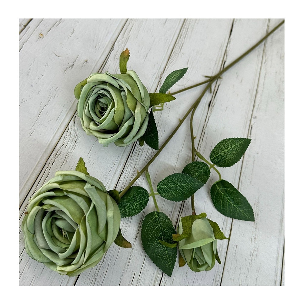 3 teste di rosa verde