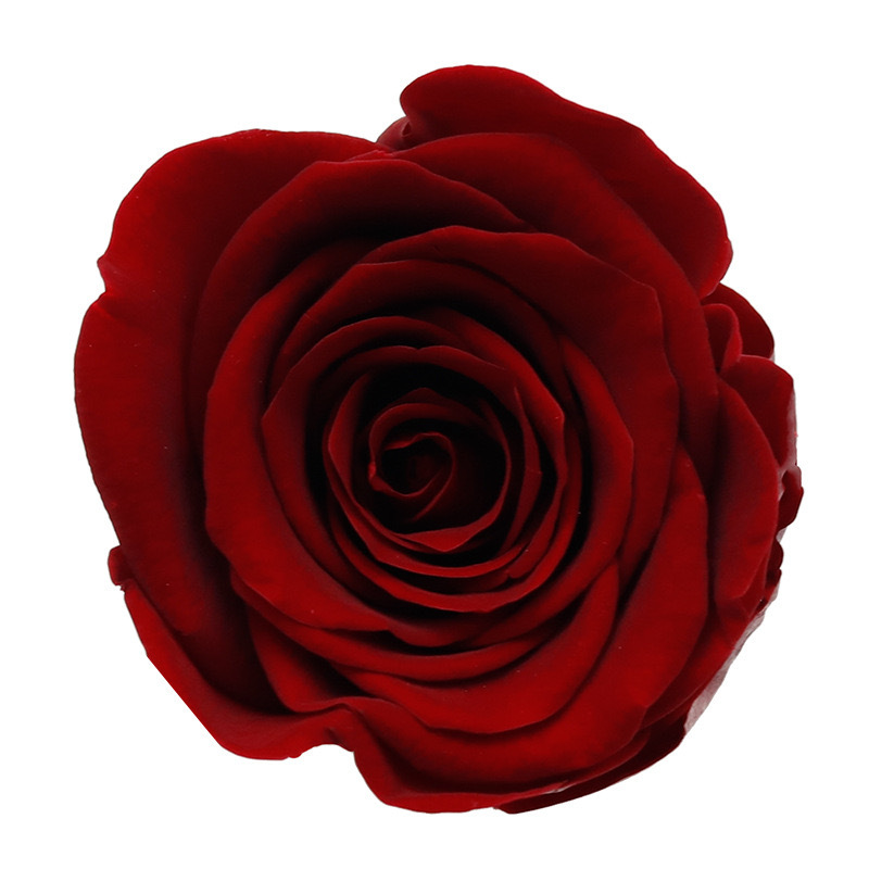 Dark Red