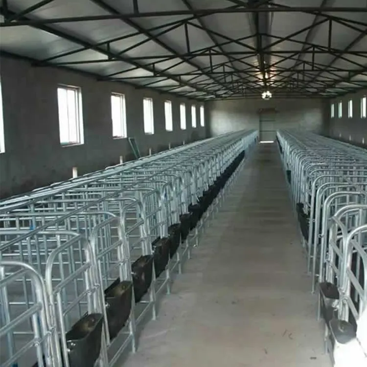 Seminare gestazione cassa Incinta di Alta qualità maiale gestazione cassa in gabbia per animali per la vendita