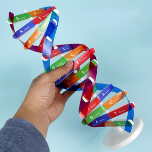2025 yeni KRC yeni DIY insan genleri DNA modelleri çift sarmal bilim yaygınlaştırma çocuklar için öğretim yardımcıları bilim araçları Test kiti - Product Image 4