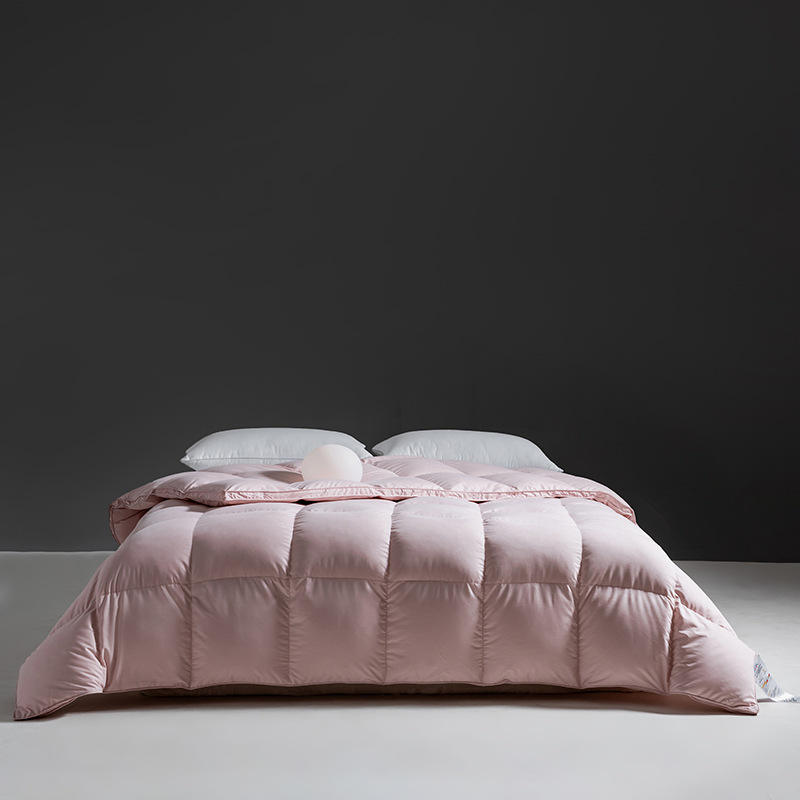 Poudre de pâte de haricot