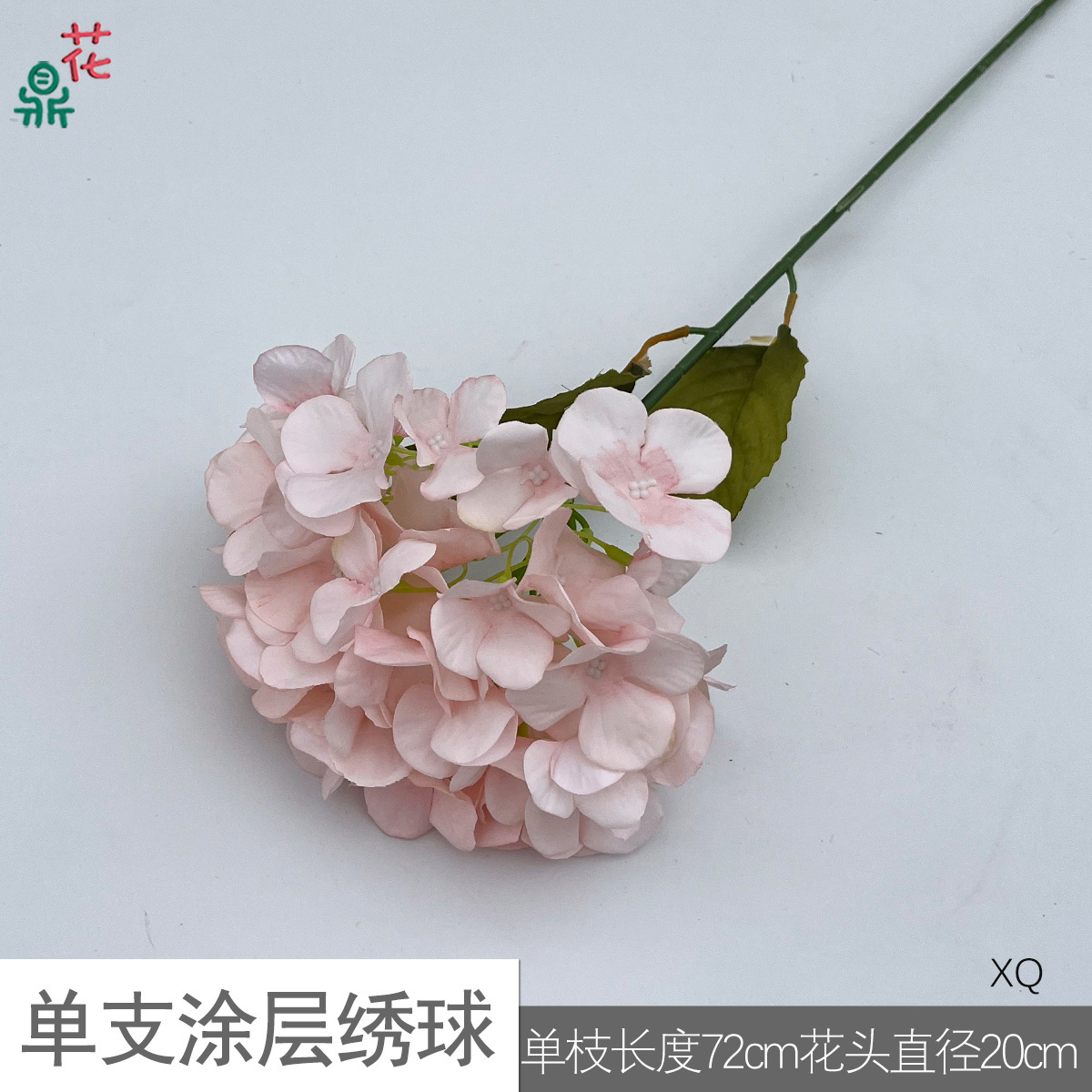 Hortensia XQ Rose, simple couche