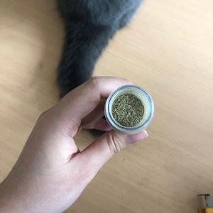 <strong>Cat</strong> Toys Natural <strong>Catnip</strong> Pet Cleaning Teeth Silver Vine Nip - Product Image 4