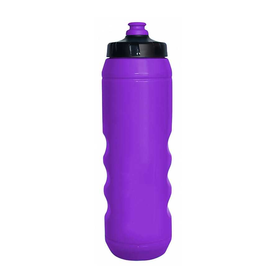 Viola
