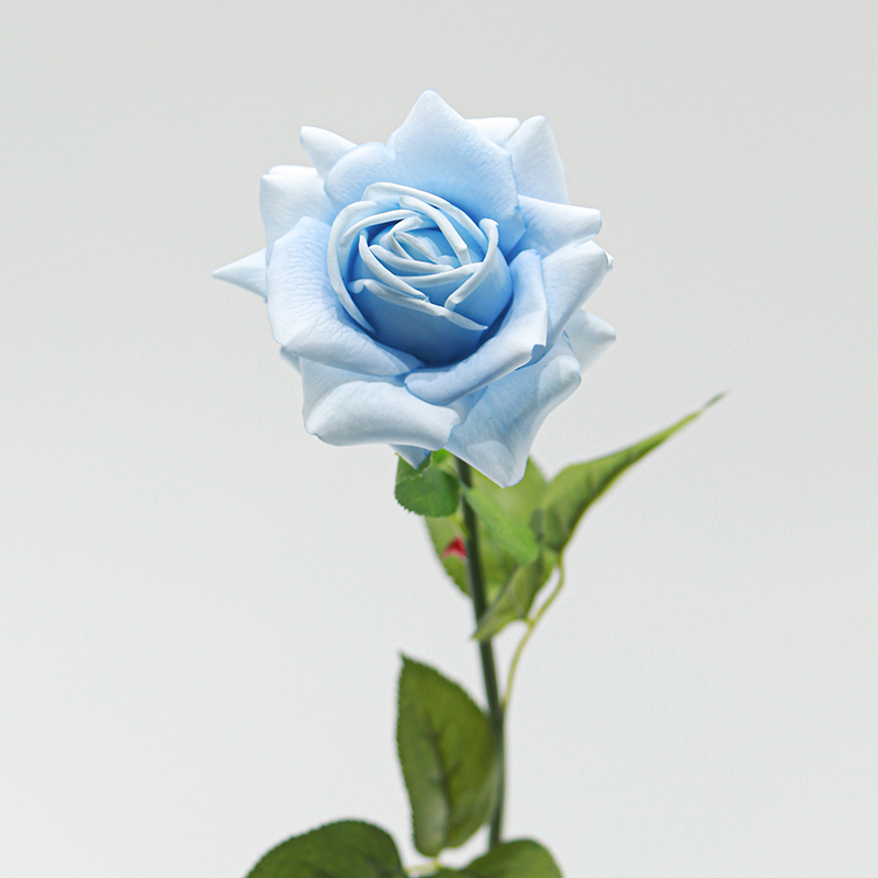 Blu-chiaro