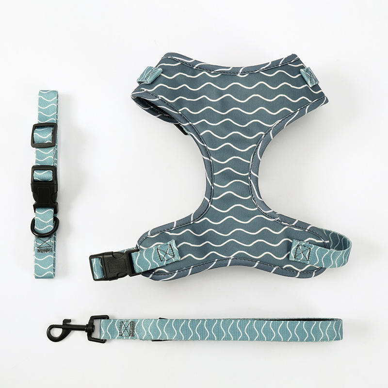 สีน้ำเงินเข้ม2