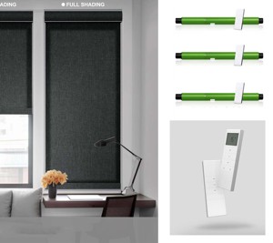 Persianas enrollables eléctricas de cebra, estilo de diseño francés, función de privacidad, persianas enrollables motorizadas, tela de protección solar para oficina, Control Alexa - Product Image 6