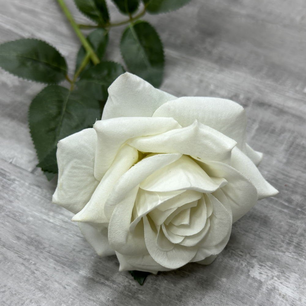 สีขาว