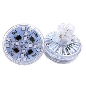 2025 nuovo Design 48mm 20leds luna luna luce Pixel AC24V E14 RGB parco divertimenti LED automatico RGBW carosello di illuminazione - Product Image 1