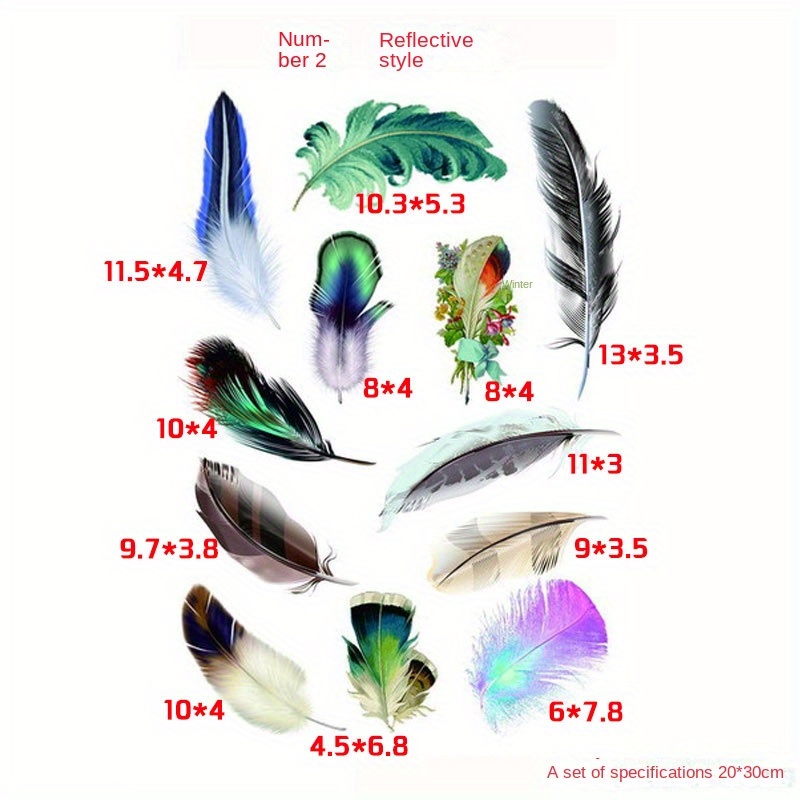 Plume de couleur numéro 2