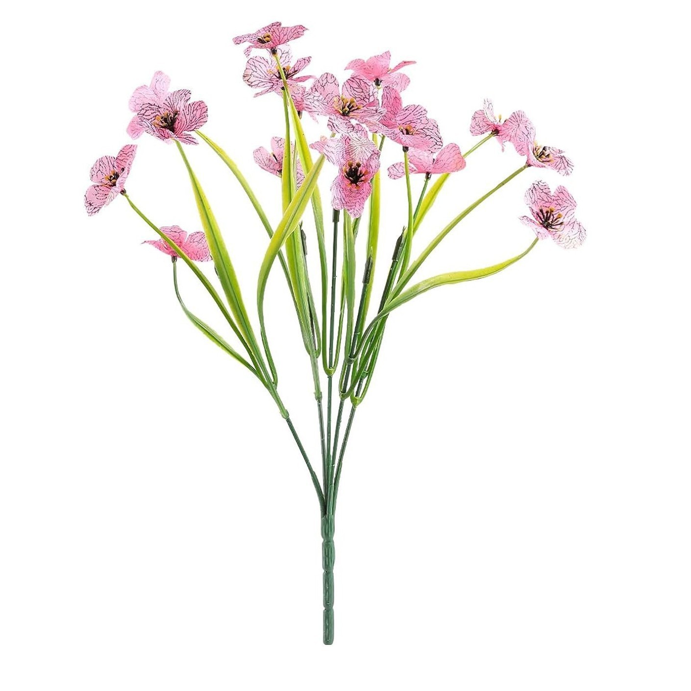 Violet Printemps Herbe Rose