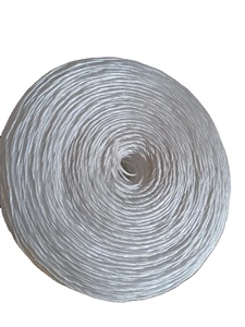 100% 聚丙烯价格便宜强力打包机麻线聚丙烯拉菲草 - Product Image 2