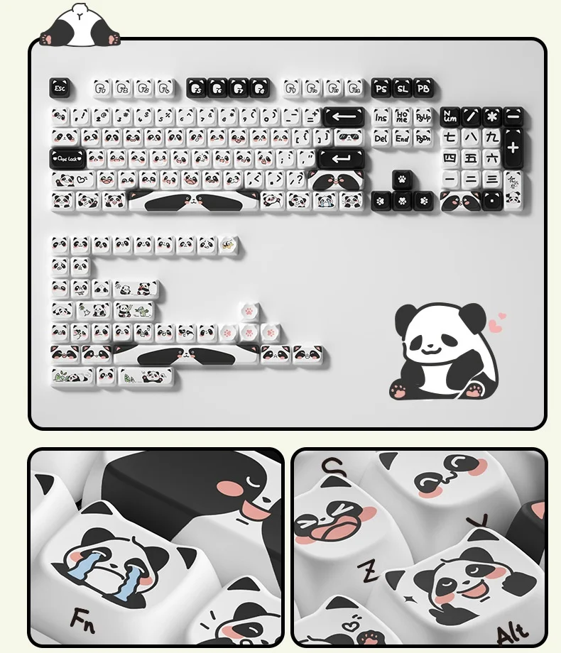 แพนด้า