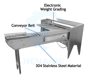 Profession elle voll automatische kleine Mini-Eier klassifizieren Sortier prozess Line Scale Grader Sorter Wiegen Eier maschine - Product Image 5