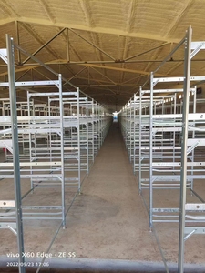 H Type <strong>3</strong> Tiers <strong>Chicken</strong> Pens and Welded Wire Mesh Galvanized <strong>Chicken</strong> Cage With Automatic Control System for <strong>Chicken</strong> House - Product Image 4