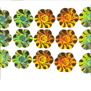 Crittografia Laser CLR micro stampa 3D VOID ologramma etichetta adesiva