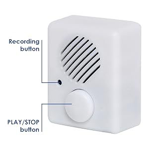 Yüksek ses kalitesi programlanabilir USB Mp3 müzik indir kutusu elektronik mekanizması çekme dize bebeğin eğitim için peluş oyuncaklar - Product Image 5