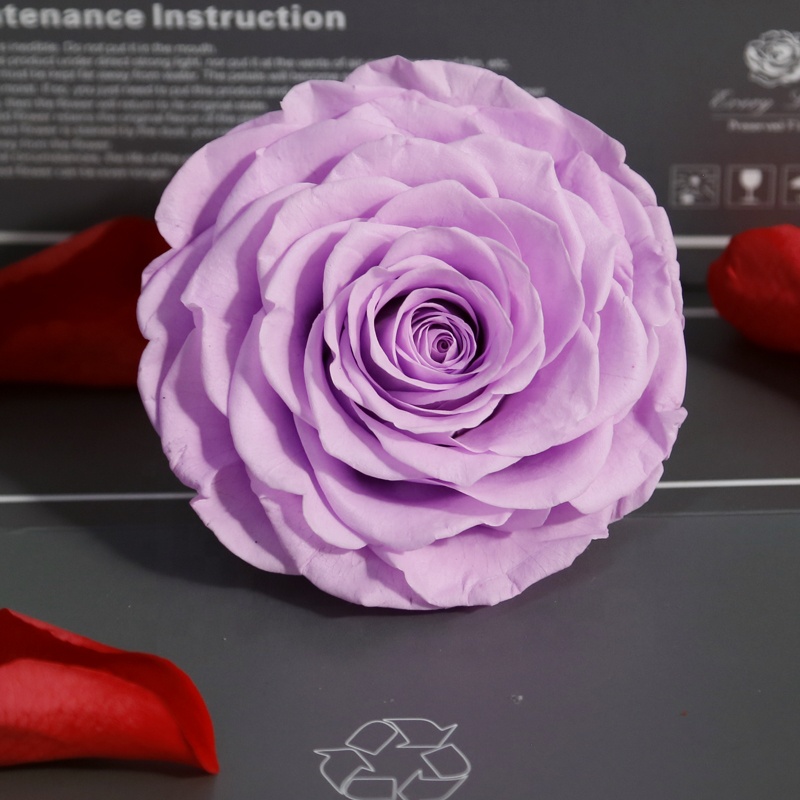 Light purple
