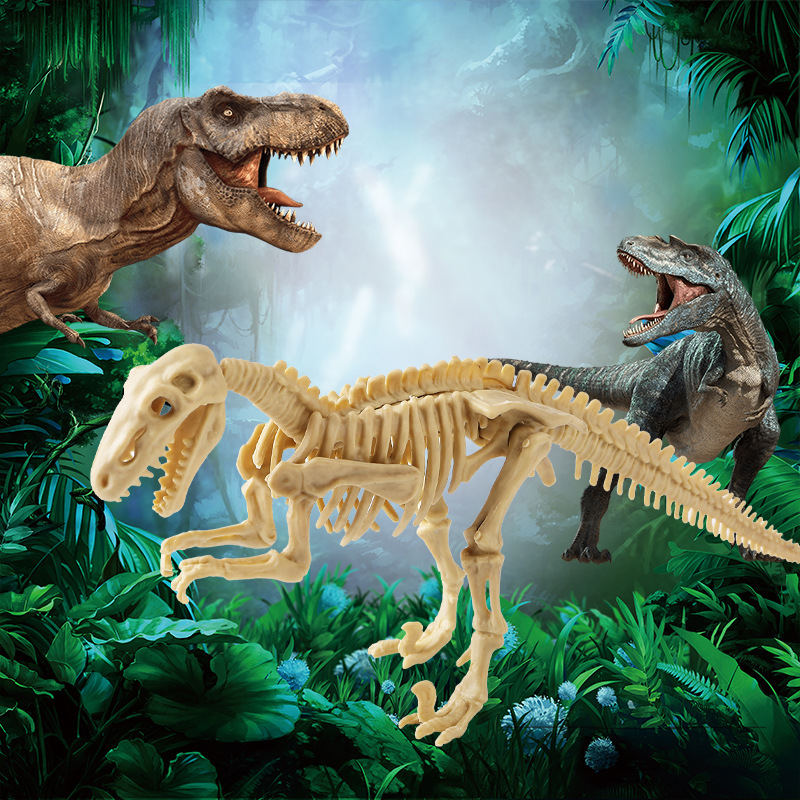 Baryonyx squelette + manuel