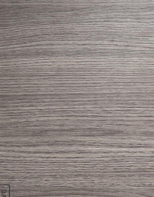 BL23-S55 บีแอล23-เอส55