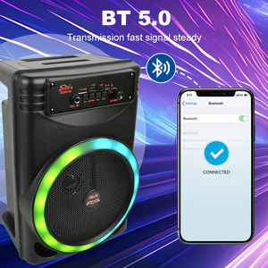 Cing-e ZQS8146 portatile ricaricabile BT Speaker con RGB LED illuminazione blu dente microfono per Karaoke per uso informatico - Product Image 2