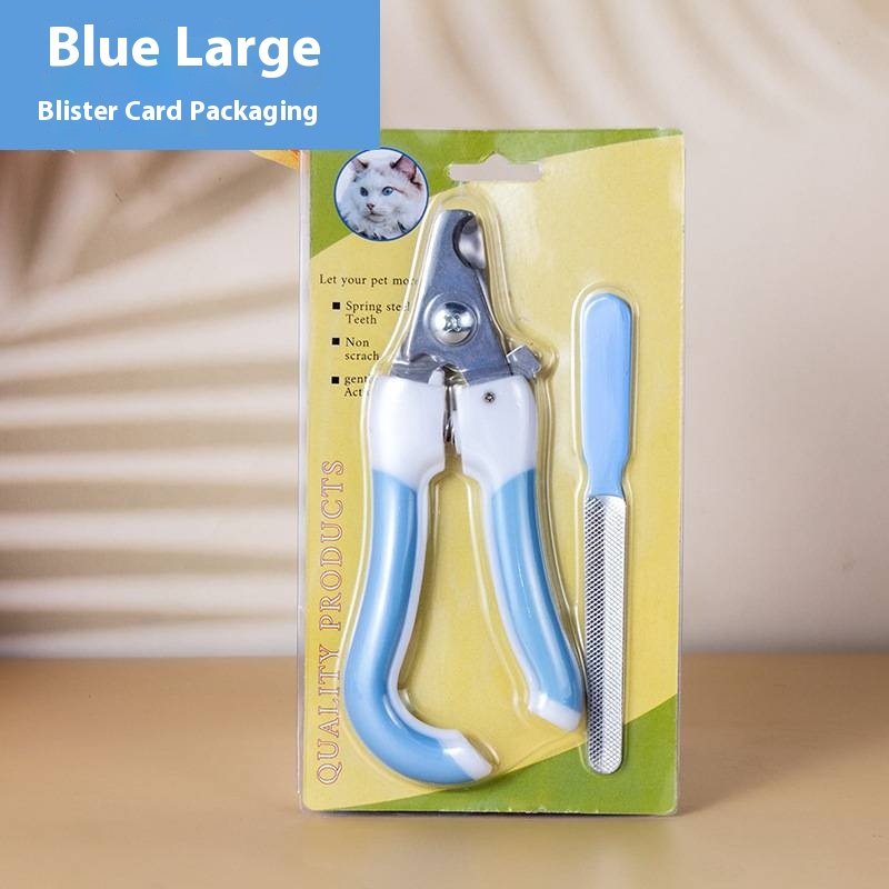 Large-sized suction card in blue