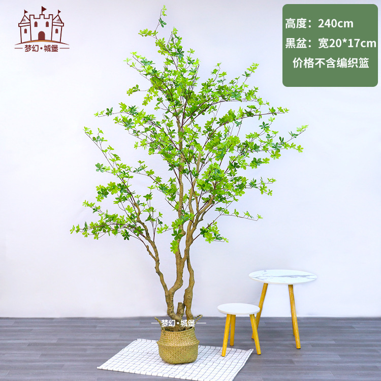 Cloche 240CM