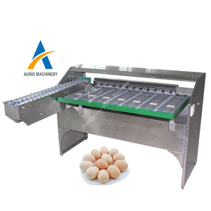 Automatische Eier waschmaschine und Sortier waage