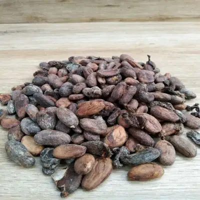 Органические какао-бобы высшего качества, оптовая продажа сушеных какао-бобов/сушеных сырых какао-бобов