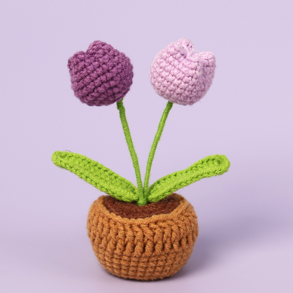 Pourpre