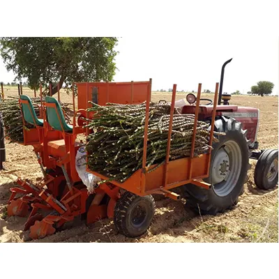 Plantador de Cassava, máquina de siembra y siembra de semillas, fabricación profesional, 2 filas