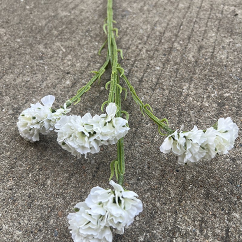 24 fourchettes haute imitation myosotis