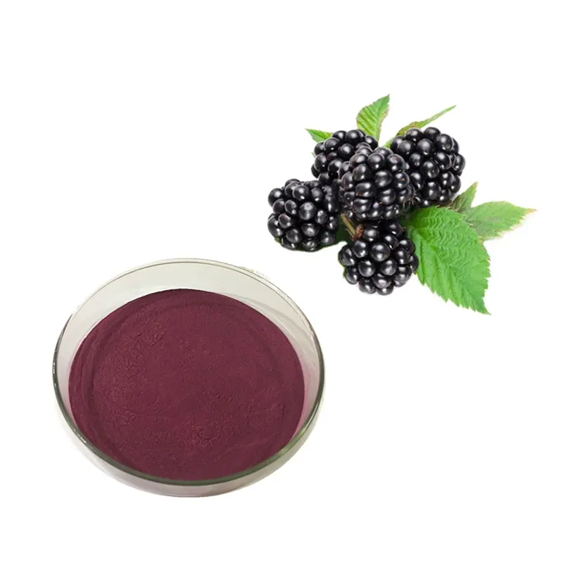 Longze Factory direct supply Blackberry fruit powder