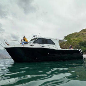Dıştan takma motorlar ile yüksek hızlı 33ft <span class=keywords><strong>10m</strong></span> catamaran offshore balıkçılık alüminyum kabin cruiser tekne