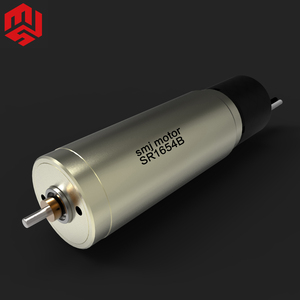 Werbe-DC 36V Servomotor DC Servomotor Antrieb und Motor von höchster Qualität - Product Image 2