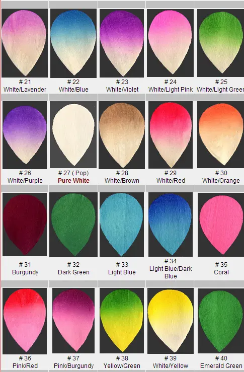 color card 2