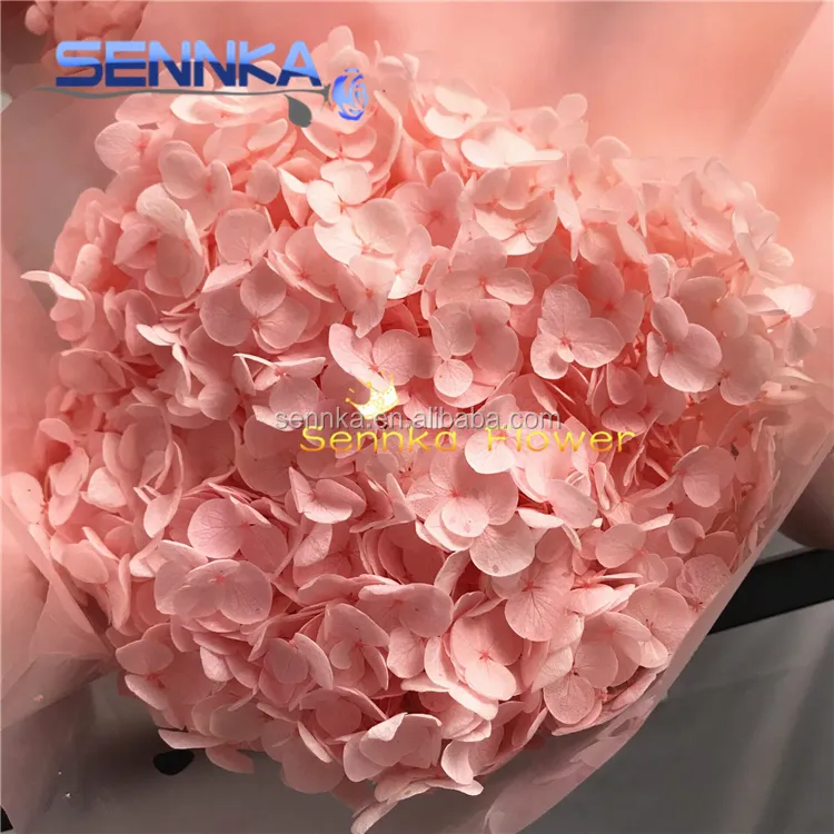Real touch Nature Preserved Hydrangeas Sale in bulk Christmas Flower
