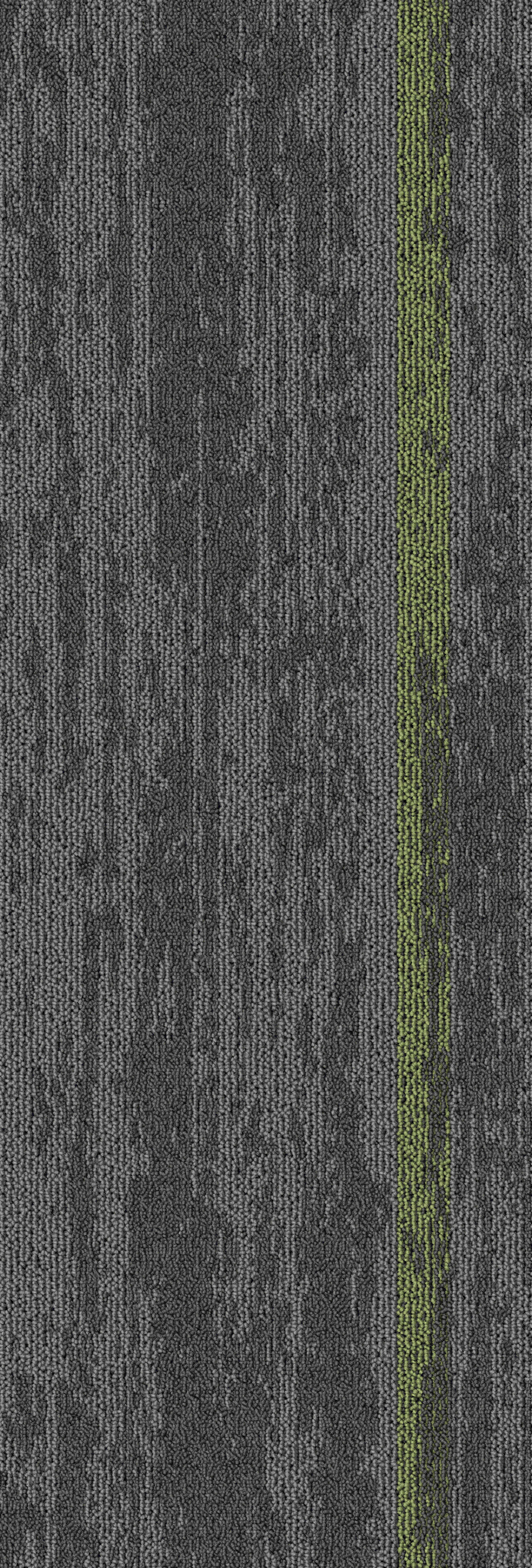 Grey12