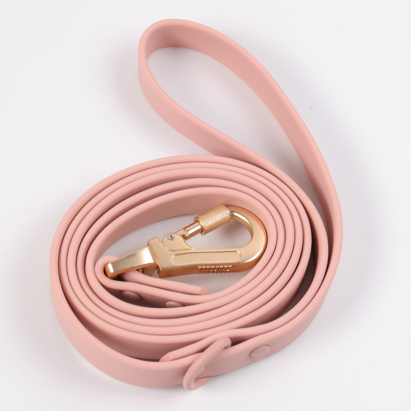 dog leash color 2