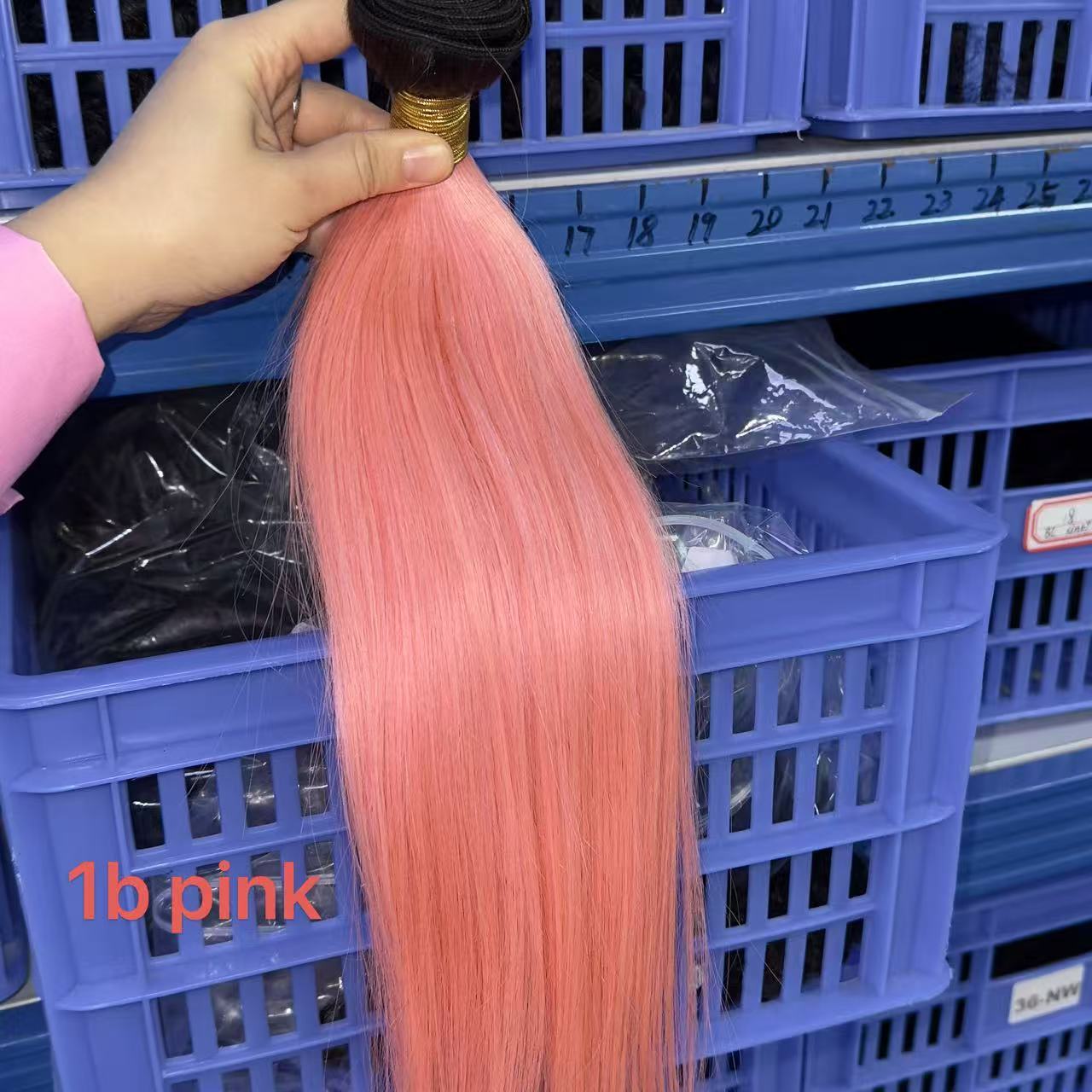 1b/rosa
